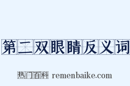 第二双眼睛反义词是什么意思的图片